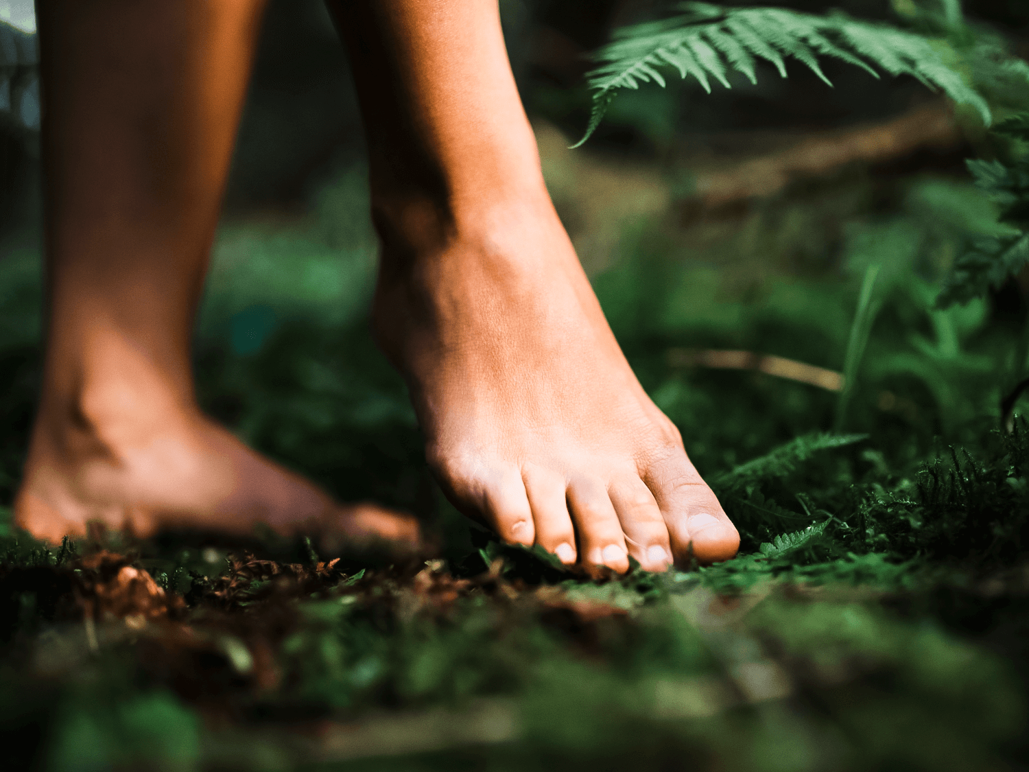 Feet touching ground in nature