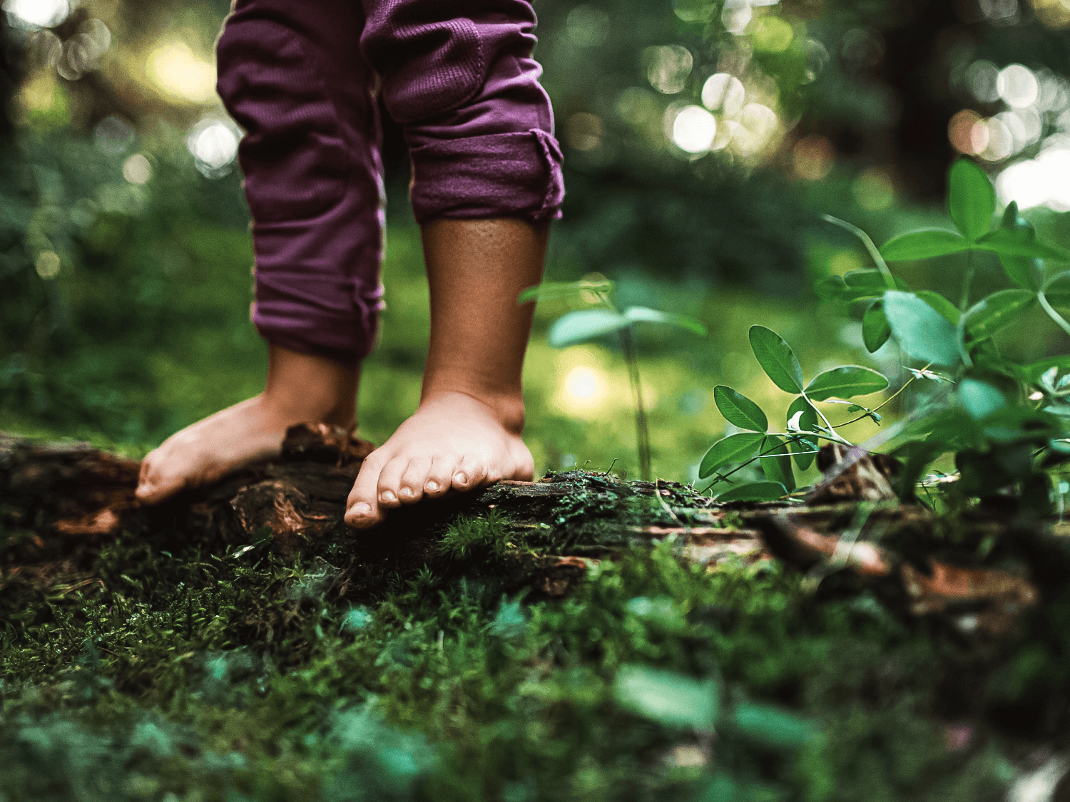 Childrens feet standing on a tree